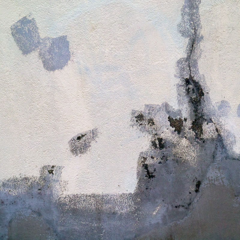 estrach n°513