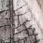 estrach n°294
