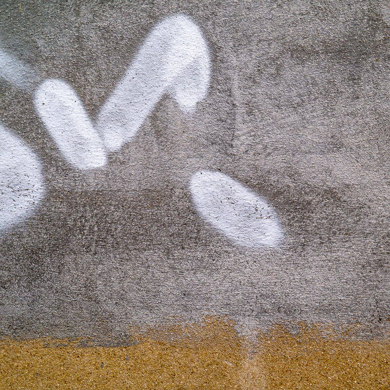 estrach n°808