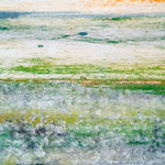 estrach n°595