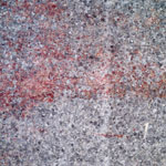 estrach n°850