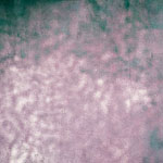 estrach n°922