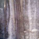 estrach n°1214