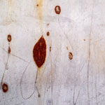 estrach n°1439