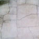 estrach n°1510