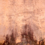 estrach n°2068