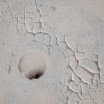 estrach n°2089